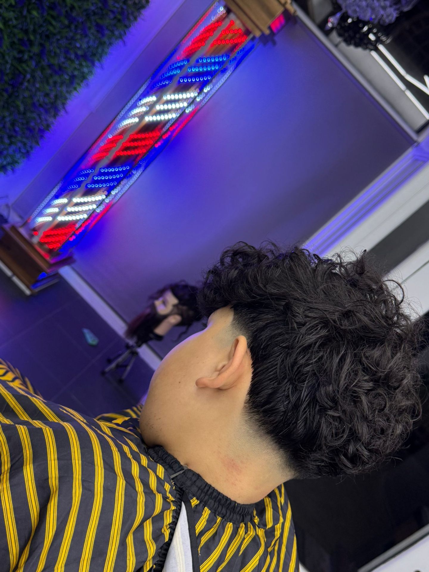 Curly Tapers haircut at MO BARBER